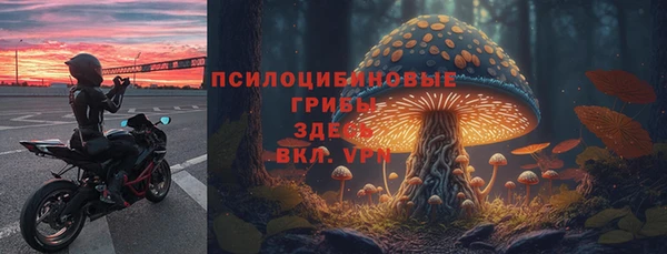 mix Инсар