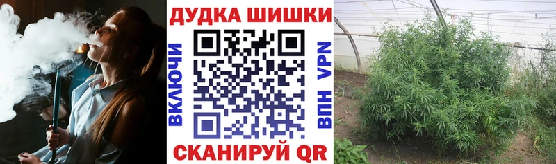 Купить где  Лесосибирск  Шишки марихуана план 